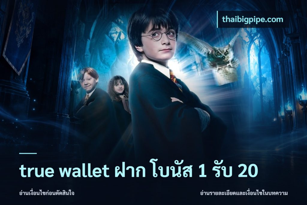 true wallet ฝาก โบนัส 1 รับ 20