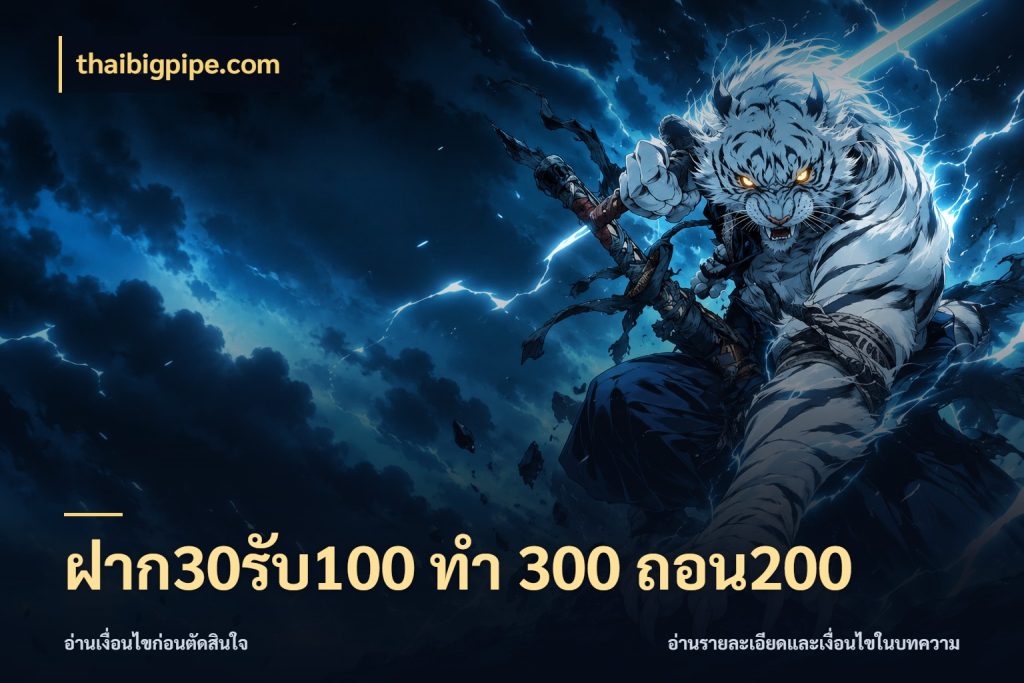 ฝาก30รับ100 ทํา 300 ถอน200